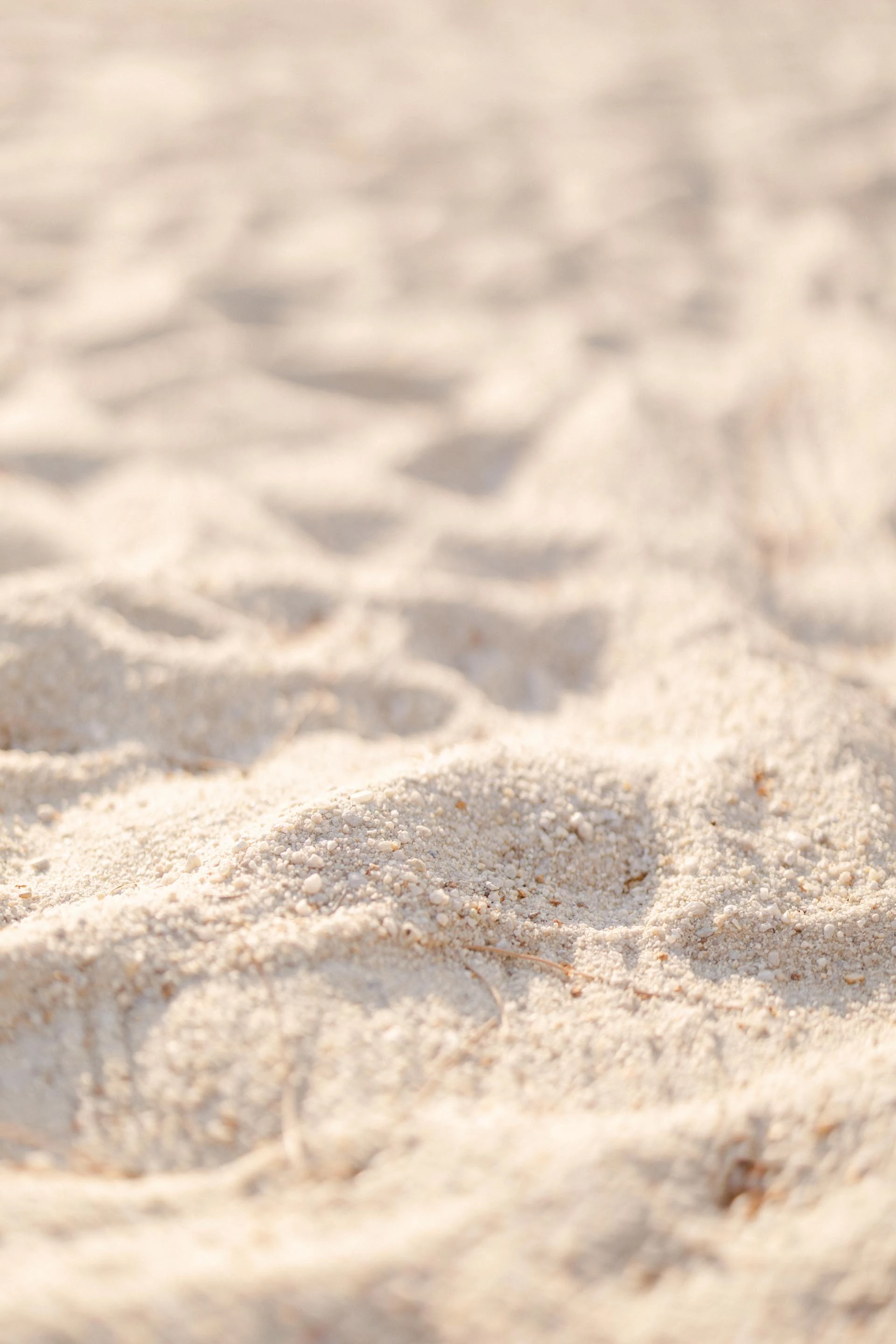 brun sable plage gris marron